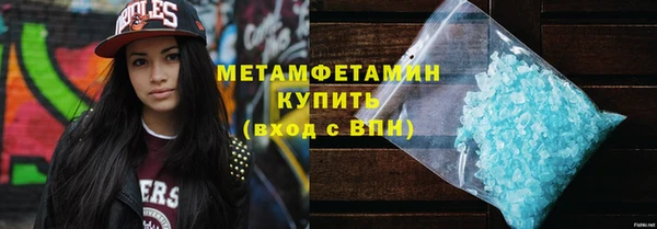 прущие грибы Богданович
