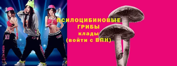 трава Белокуриха