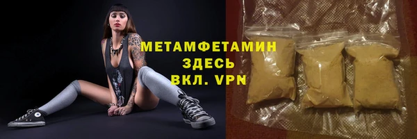 прущие грибы Богданович