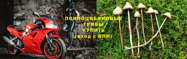 ECSTASY Богородицк