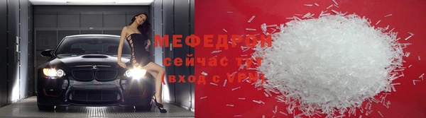 прущие грибы Богданович