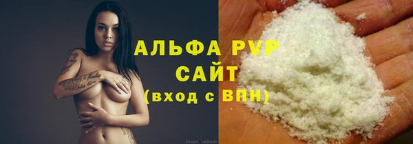 ECSTASY Богородицк