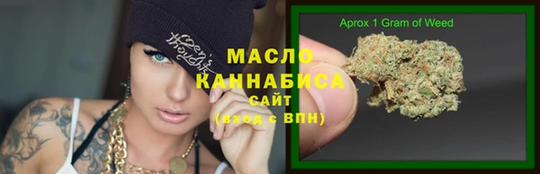 ECSTASY Богородицк