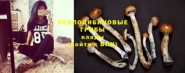 дживик Бронницы