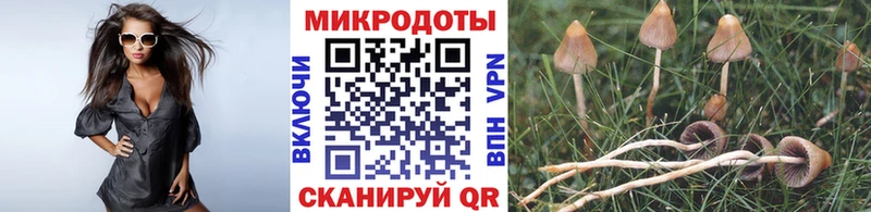 Галлюциногенные грибы мицелий  мега ONION  Дорогобуж 